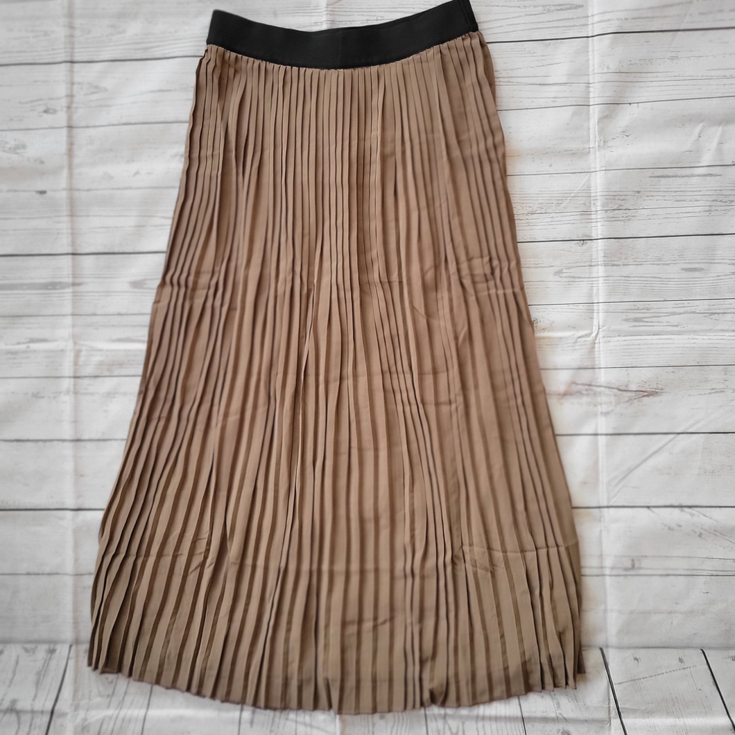 Pleated Chiffon Skirt